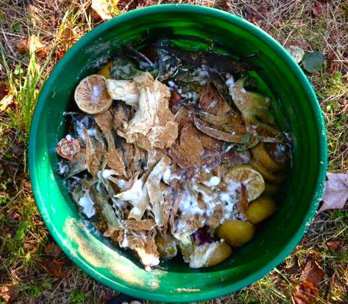 bokashi composting | Loisaida Nest